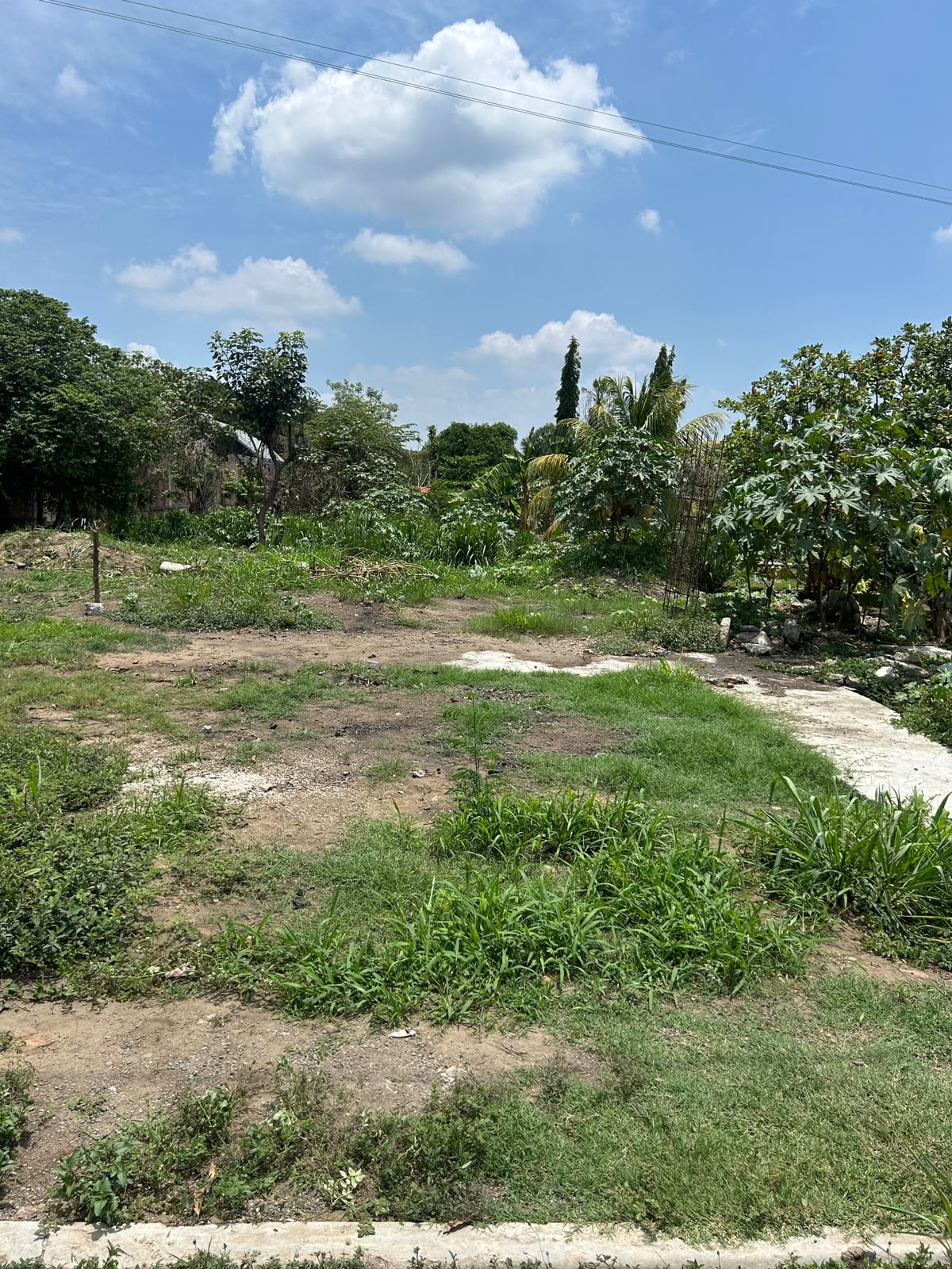 Imagen inmobiliaria 5